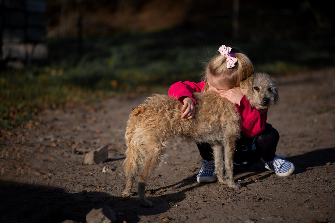 Gyerekek, divat és négylábú barátaink – Miért fontos az összehangolt öltözködés?