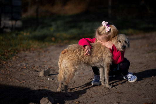 Gyerekek, divat és négylábú barátaink – Miért fontos az összehangolt öltözködés?