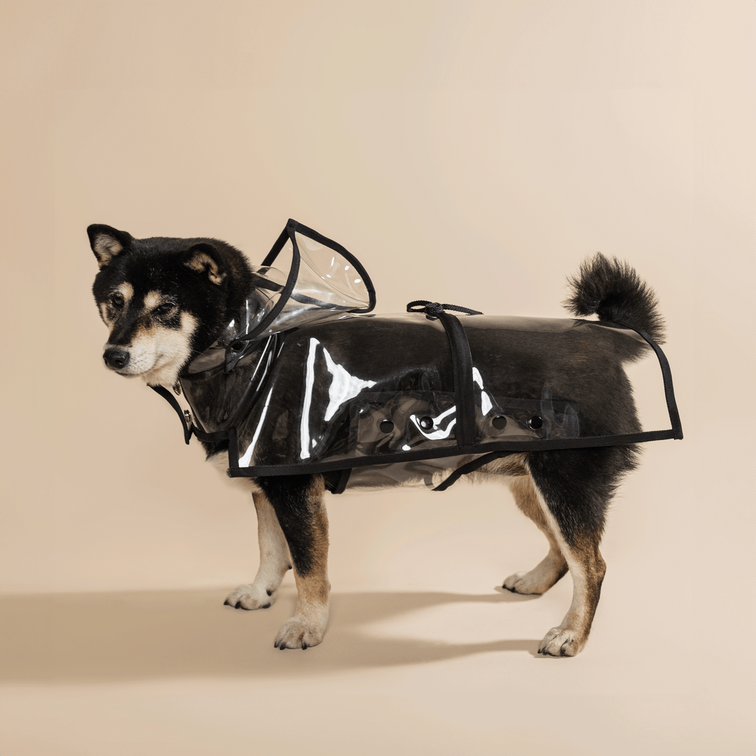 Kutyaruha télen-nyáron