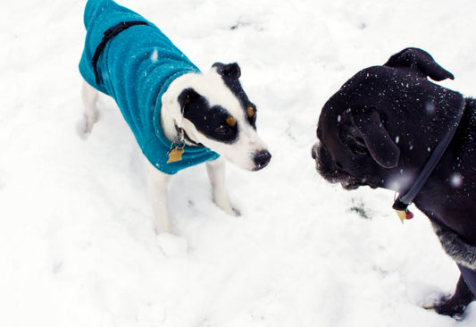 Téli séták biztonságosan