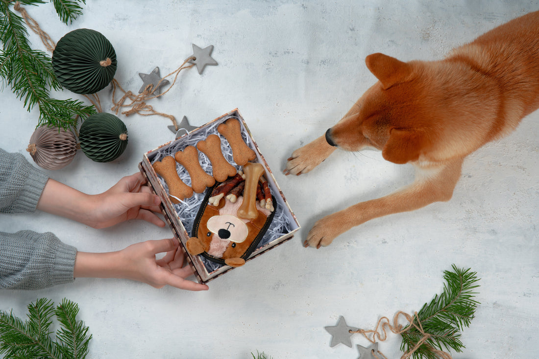 Kutyás karácsonyi ajándékötletek