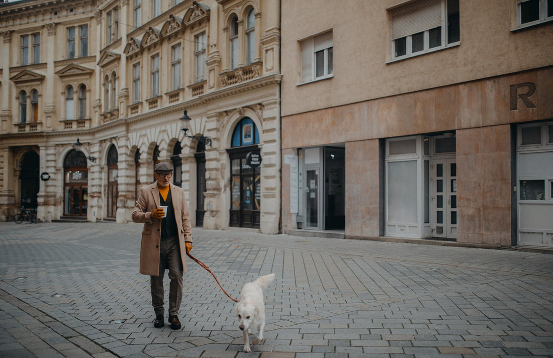 A kutyasétáltatás szabályai