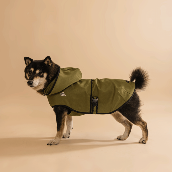 Stormy Military